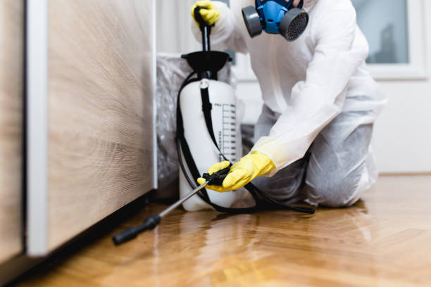 Best Insect Control  in Socorro, NM