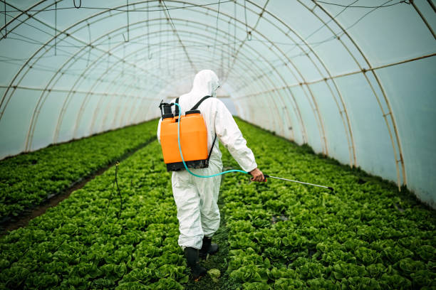 Best Emergency Pest Control  in Socorro, NM