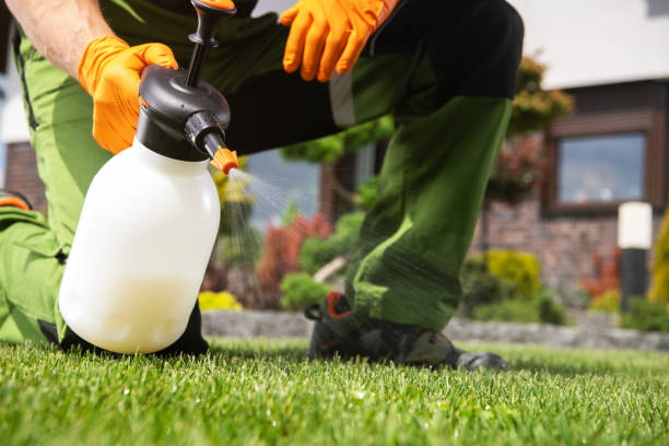 Best Residential Pest Control  in Socorro, NM