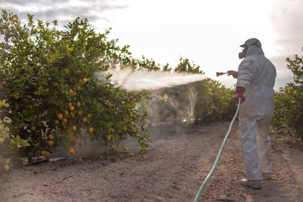 Best Exterminator Services  in Socorro, NM
