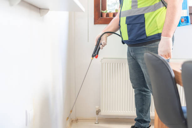 Best Flea Control Services  in Socorro, NM