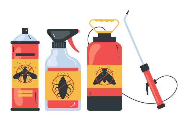 Best Pest Control Near Me in Socorro, NM