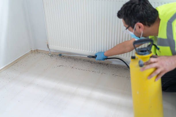 Best Best Pest Control Companies  in Socorro, NM
